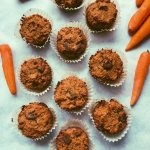 carrot apricot grain free muffins scd diet
