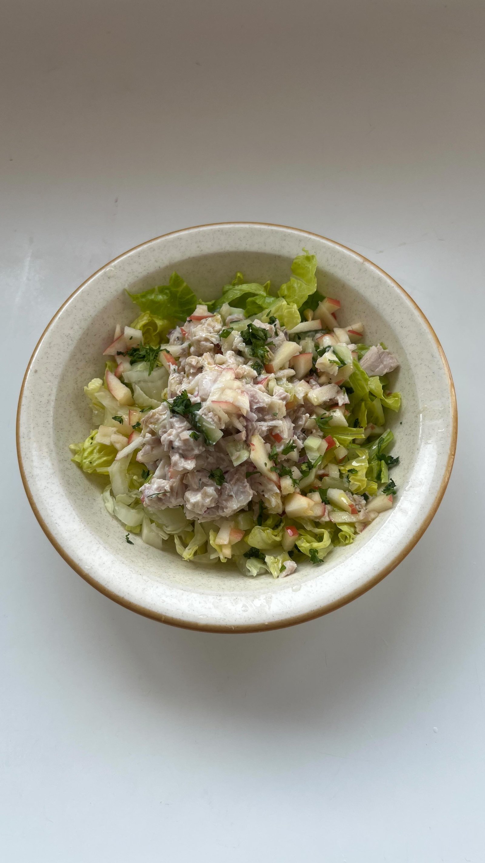 not all salads are bomb dot com some are just okay dot ca and that’s okay!! this salad had a lot of potential but honestly i got lazy w my salad dressing at the end, and not only did i not put enough lemon juice, i also didn’t put enough spicesss. also i didn’t have any avocado otherwise that would have leveled it up and even some shredded old cheddar would have been a nice addition 👌

pro tip for your salad is to always go ham on spices AND herbs, both fresh and dried 🍃🥗!! the chicken salad by itself was also delish, i love adding finely chopped apple to tuna or chicken salad, and i always use yogurt instead of mayo since mayo gives me the ick. it definitely could have been a salad on its own (i mean technically it is 😅), enjoyed with crackers and cheese for example 🧀🤷‍♀️ 

anyways watch yesterdays episode of my daily salad in the linked reel below and follow along for more salad daily!!

#saladideas #saladinspo