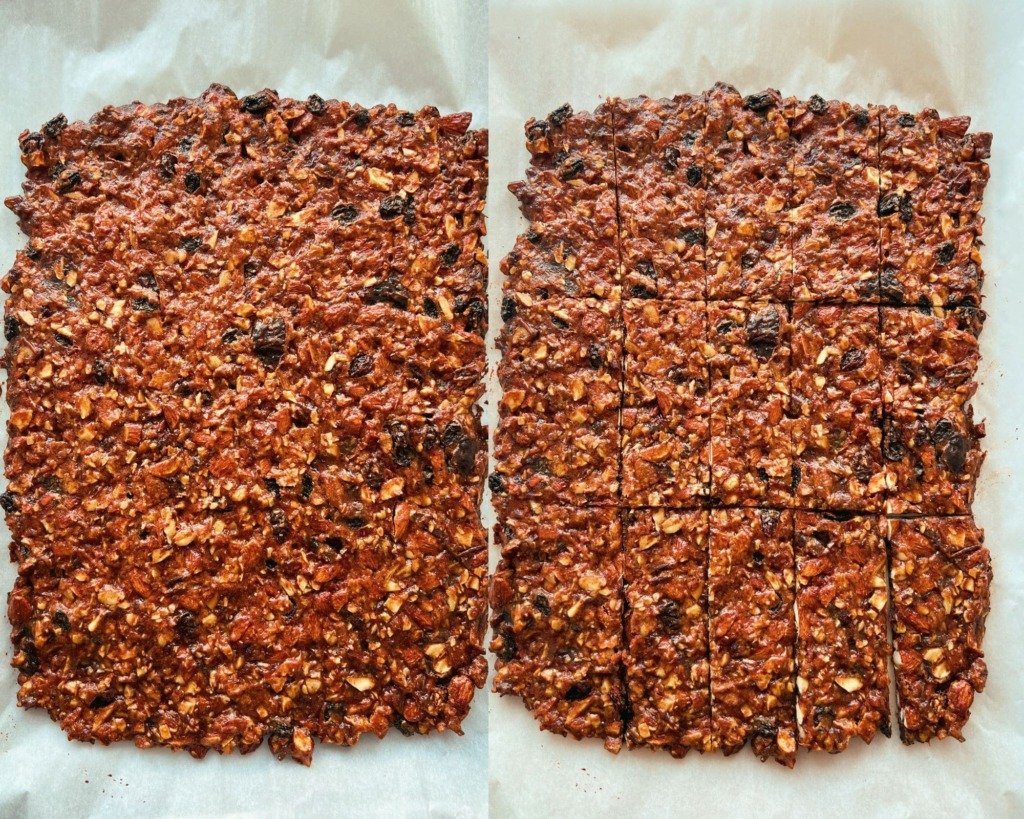 grain free chewy date granola bars