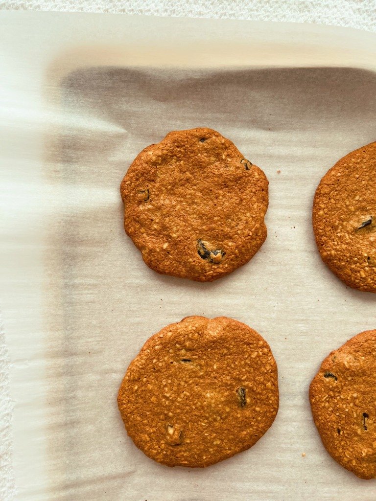 n'oatmeal raisin cookies (grain free, no oats)