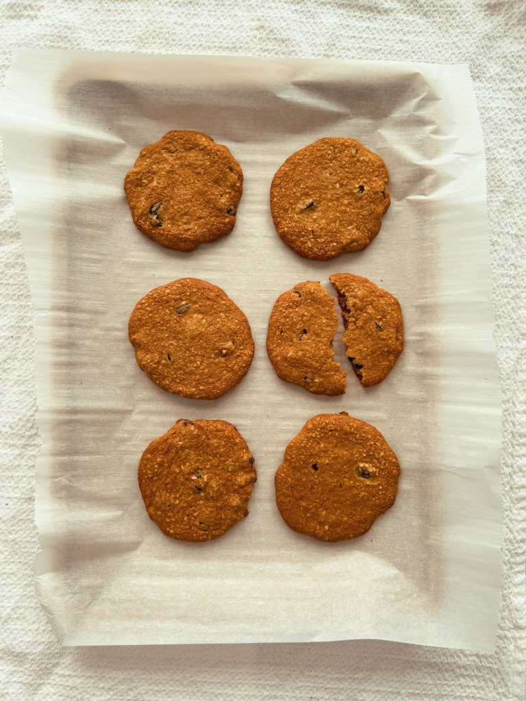 n'oatmeal raisin cookies (grain free, no oats)