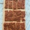 grain free apple cinnamon granola bars (scd diet)