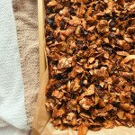apple cinnamon coconut flake cereal grain free & refined sugar free