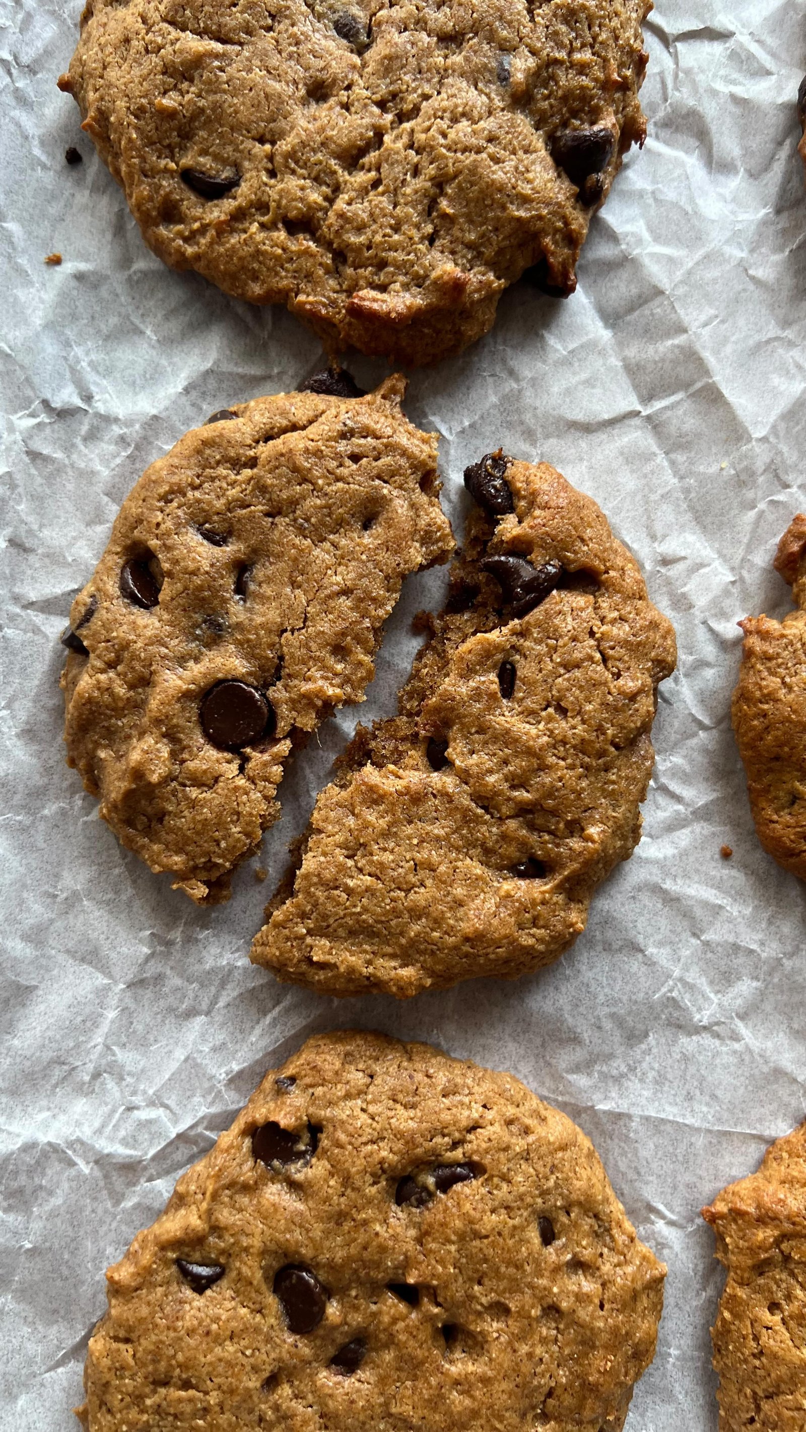 sometimes you need a sweet treat that you can still feel good about and/or adheres to your dietary restrictions while still satisfying a craving 🫡and that’s where i come in 🫡with these banana almond butter chocolate chip cookies made using refined sugar free chocolate chips from @enjoyjustdate

they’re not only super simple and quick to make they are actually very yummy and they have the perfect bendiness to them 🍪

comment “recipe” to get it sent straight to your DMs or grab it from the link in my bio!